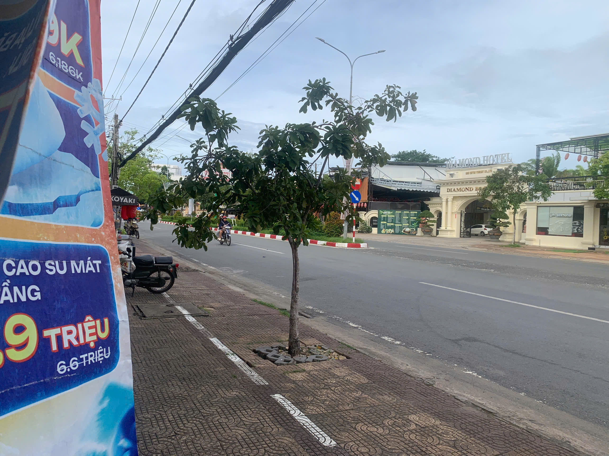 Ảnh sản phẩm