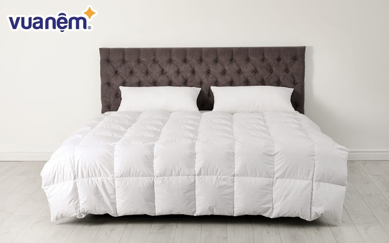 Ruột chăn lông vũ Doona Luxury 70% 2.5kg