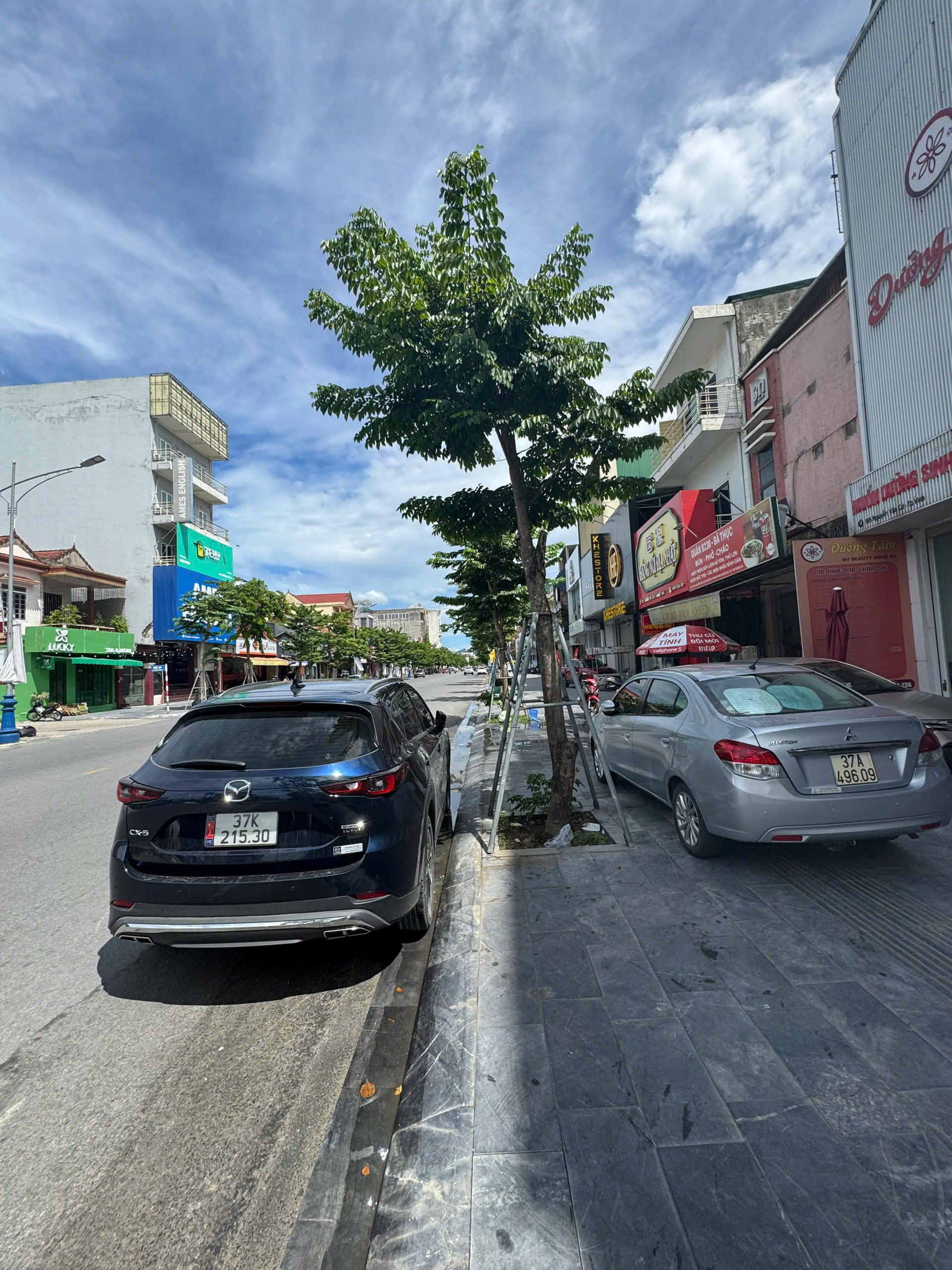Ảnh sản phẩm