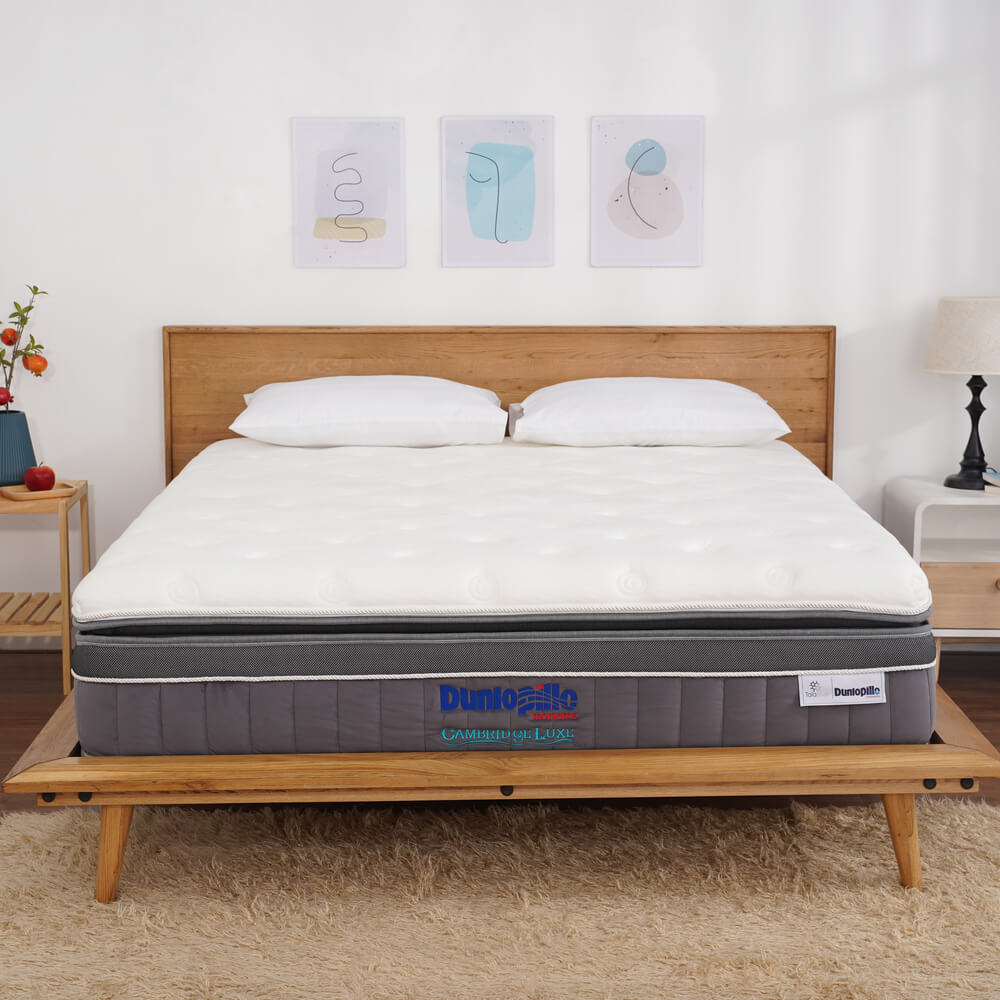 Nệm Lò xo Dunlopillo Cambridge Luxe