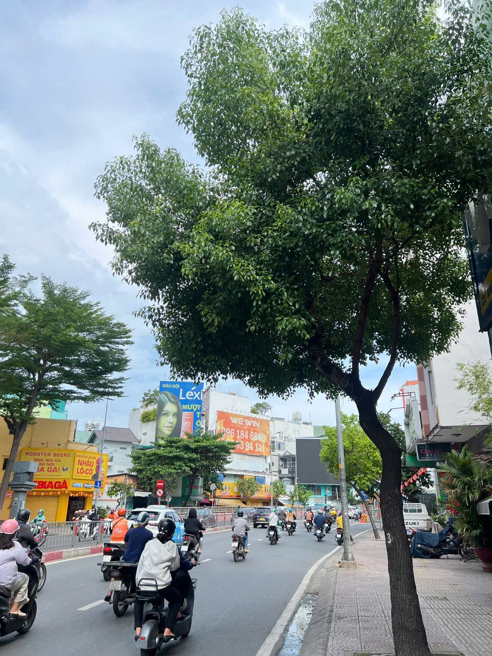 Ảnh sản phẩm