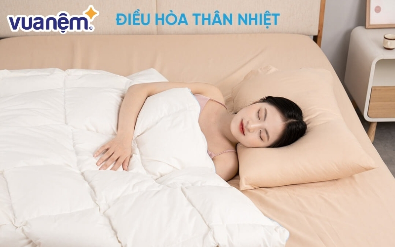 Ruột chăn lông vũ Doona Dream Cloud 2.5kg